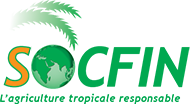Logo Socfin (Plantations d'huile de palme & hévéas)